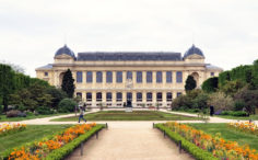 Rénovation de la Salle d’Exposition Temporaire de la Grande Galerie de l’Evolution, Muséum National d’Histoire Naturelle