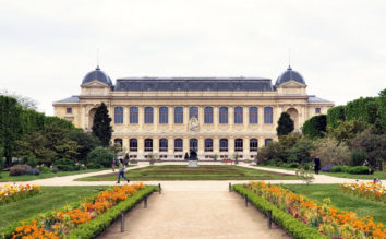 Rénovation de la Salle d’Exposition Temporaire de la Grande Galerie de l’Evolution, Muséum National d’Histoire Naturelle